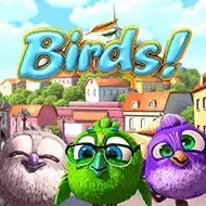BirdsBsg